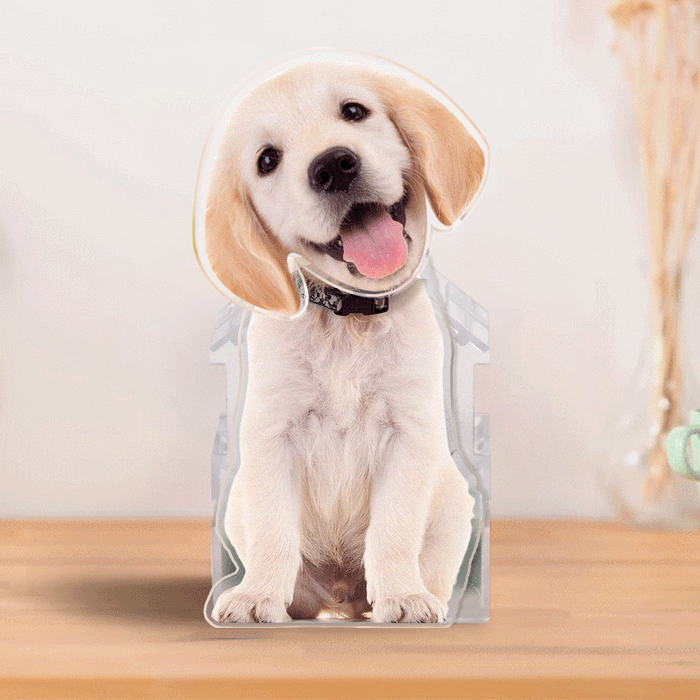 Shaking Head Ornament – Custom Photo Keepsake | Acrylic Bobblehead Toy Gift