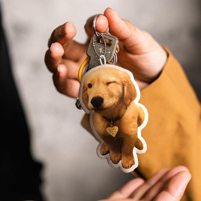 Custom Pet Keychain – Personalized Name & Photo Pillow Charm | Unique Pet Gift